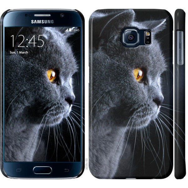 

Чехол на Samsung Galaxy S6 G920 Красивый кот (04798)