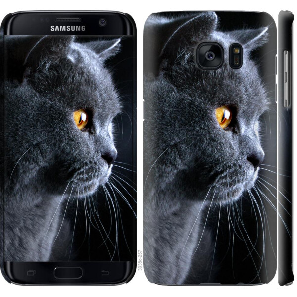 

Чехол на Samsung Galaxy S7 Edge G935F Красивый кот (04798)
