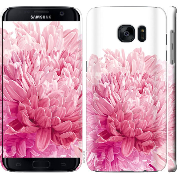 

Чехол на Samsung Galaxy S7 Edge G935F Хризантема (04798)