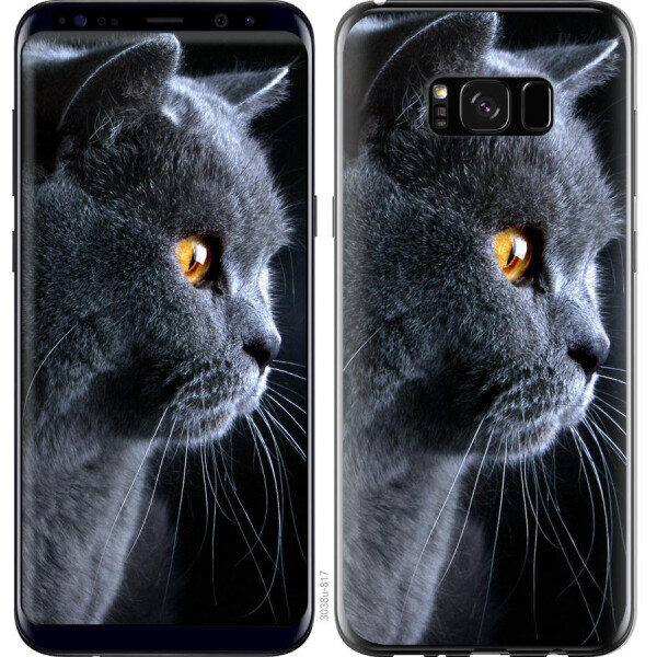 

Чехол на Samsung Galaxy S8 Plus Красивый кот (04798)