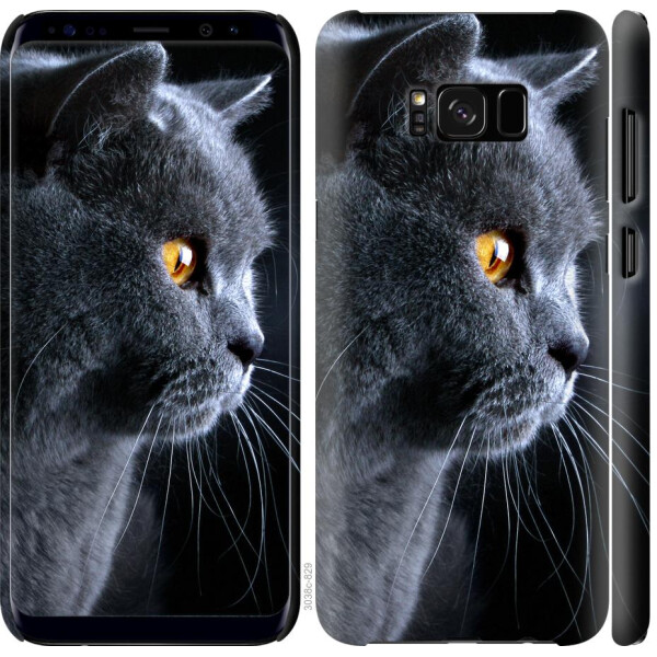 

Чехол на Samsung Galaxy S8 Красивый кот (04798)