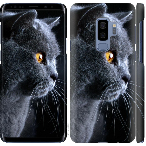 

Чехол на Samsung Galaxy S9 Plus Красивый кот (04798)
