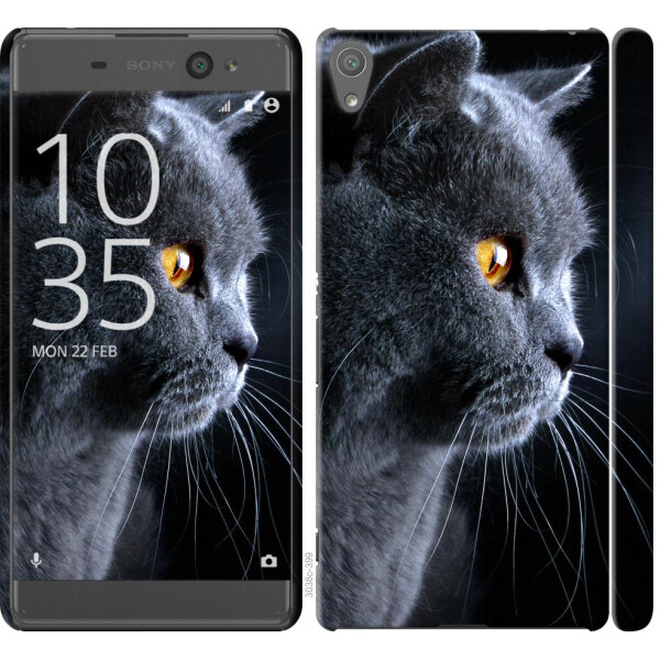 

Чехол на Sony Xperia XA F3112 Красивый кот (04798)