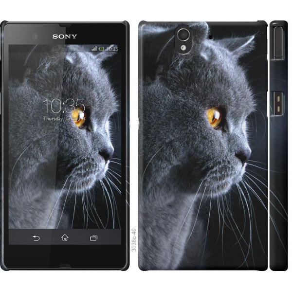 

Чехол на Sony Xperia Z C6602 Красивый кот (04798)
