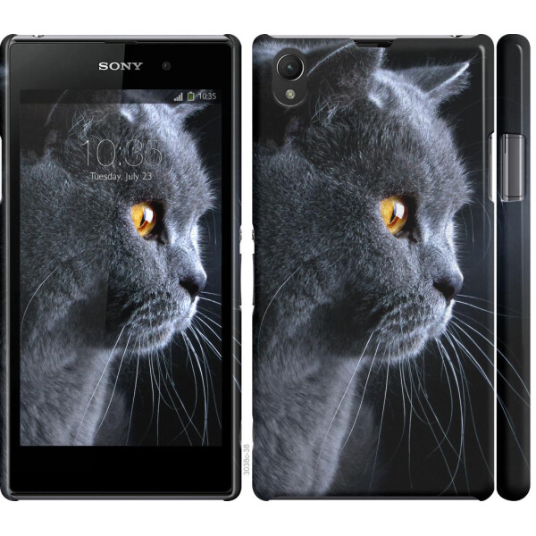

Чехол на Sony Xperia Z1 C6902 Красивый кот (04798)