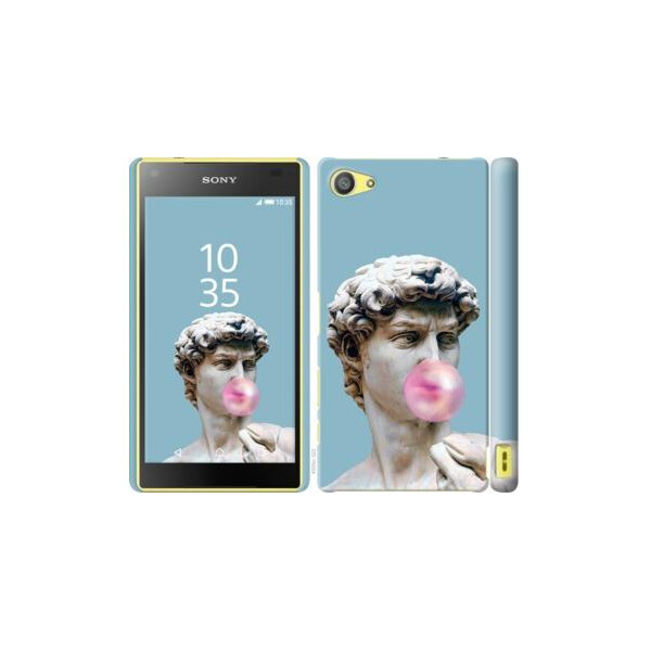 

Чехол на Sony Xperia Z5 Compact E5823 Микеланджело (04798)