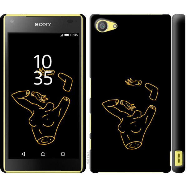 

Чехол на Sony Xperia Z5 Compact E5823 Эстетика (04798)