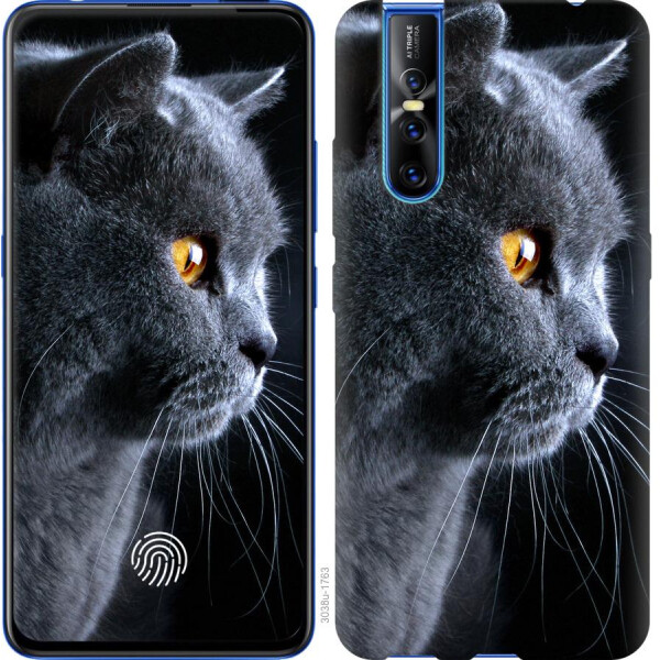 

Чехол на Vivo V15 pro Красивый кот (04798)