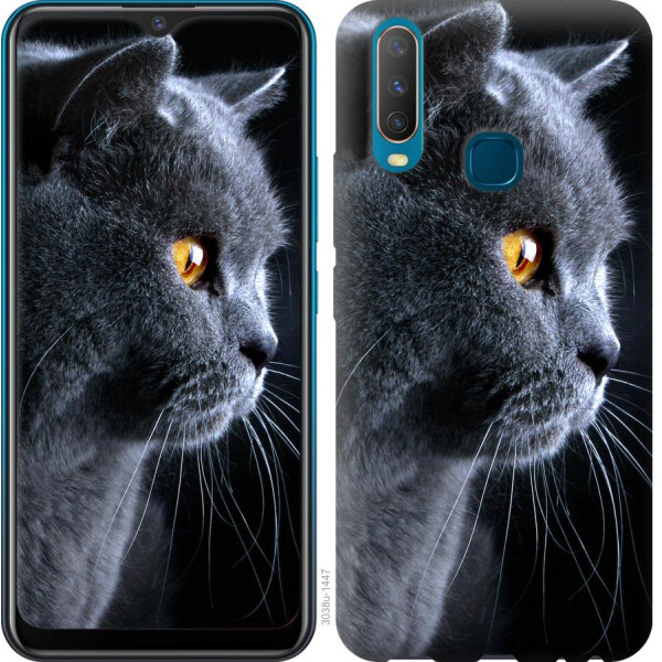 

Чехол на Vivo Y17 Красивый кот (04798)