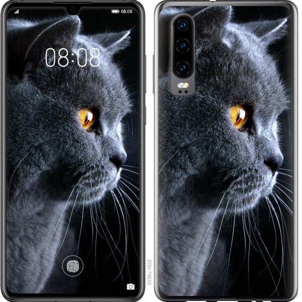 

Чехол на Xiaomi Mi 9 SE Красивый кот (04798)