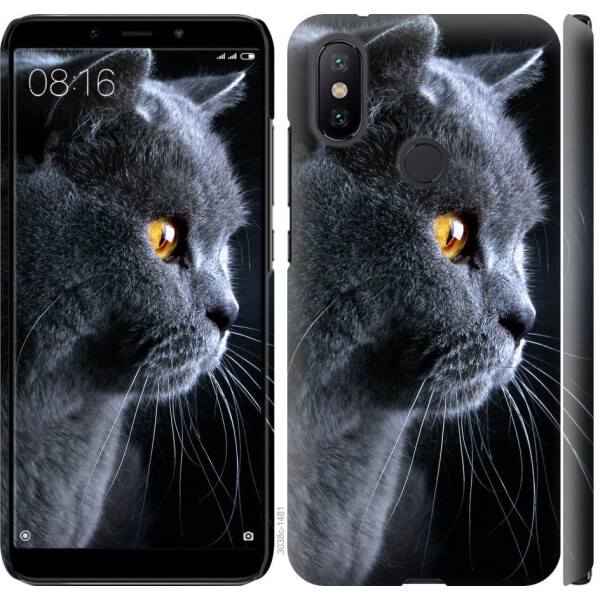 

Чехол на Xiaomi Mi A2 Красивый кот (04798)