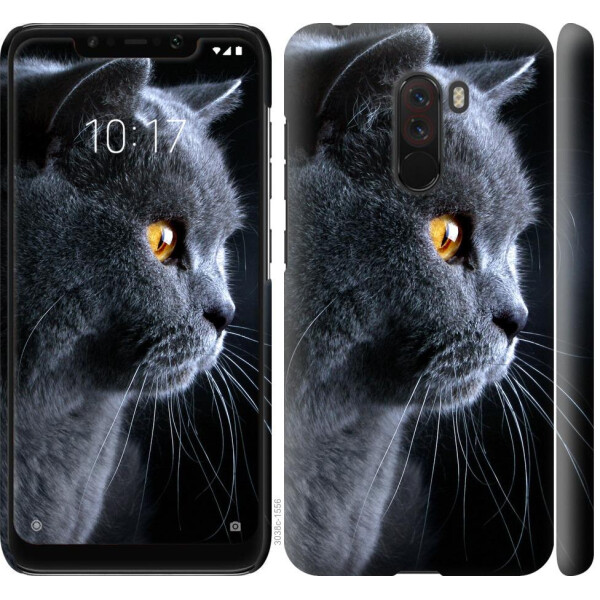 

Чехол на Xiaomi Poco F1 Красивый кот (04798)