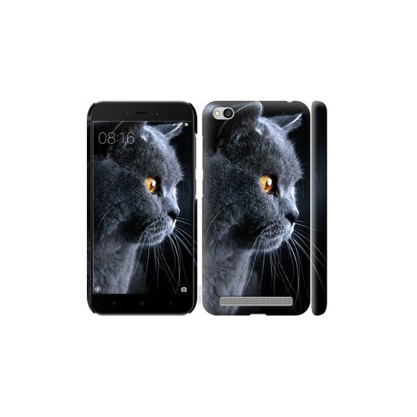 

Чехол на Xiaomi Redmi 5A Красивый кот (04798)