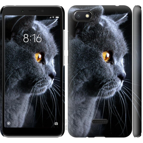 

Чехол на Xiaomi Redmi 6A Красивый кот (04798)