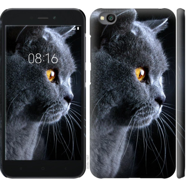 

Чехол на Xiaomi Redmi Go Красивый кот (04798)