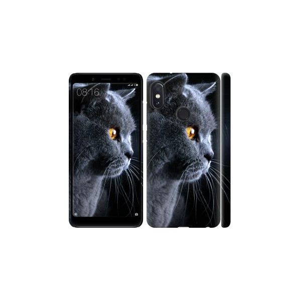 

Чехол на Xiaomi Redmi Note 5 Красивый кот (04798)