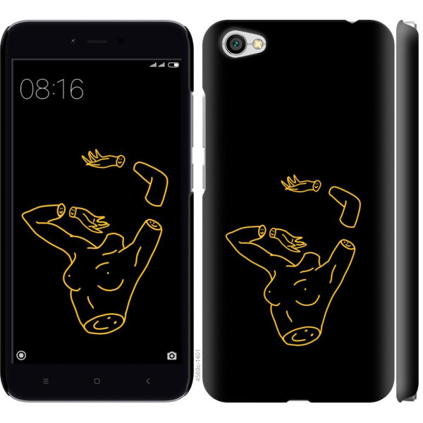 

Чехол на Xiaomi Redmi Note 5A Эстетика (04798)