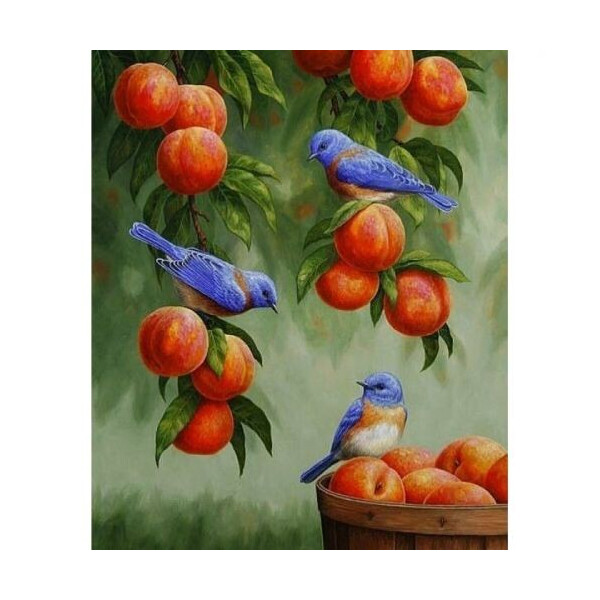 

Картина по номерам 'Дрозды и персики' КНО2429
