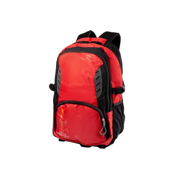 

Рюкзак спортивный Valiria Fashion DETAT2109-1
