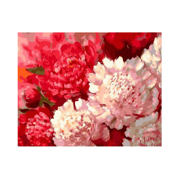 

Картина по номерам. BrushmeКонтрастные пионы (GX25609)
