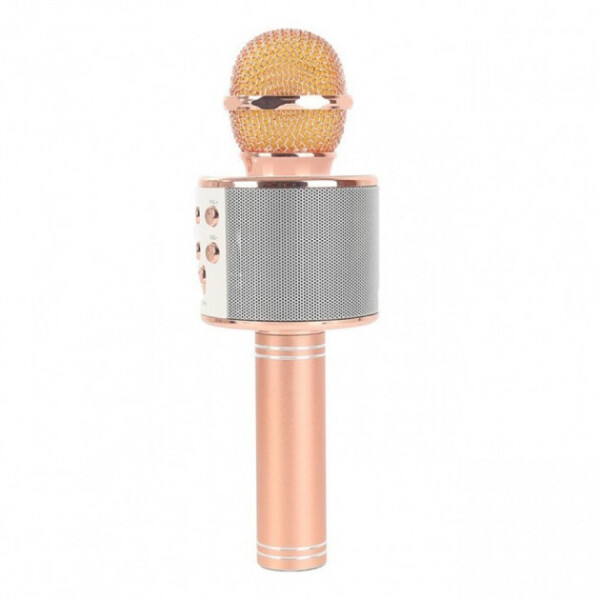 

Беспроводной микрофон караоке EASY WS858 с чехлом Original Gold (201K)