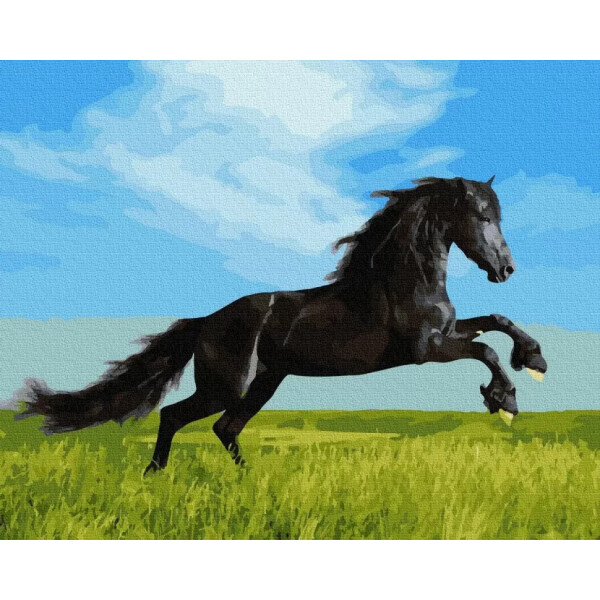 

Картина по номерам. Rainbow ArtЧёрный скакун GX36088-RA