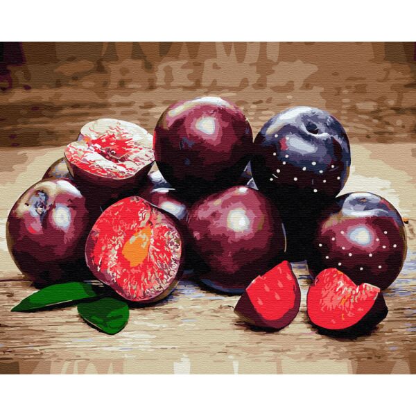 

Картина по номерам. BrushmeСлива GX33844