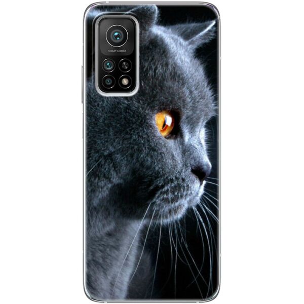 

Силиконовый чехол BoxFace Xiaomi Mi 10T/ Mi 10T Pro English cat (41069-up1346)