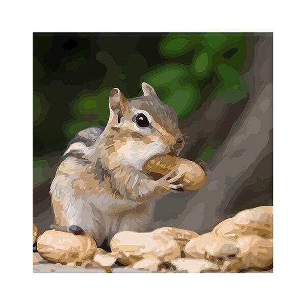 

Картина по номерам. Art Craft Крошка бурундук 40*40 см 11610-AC