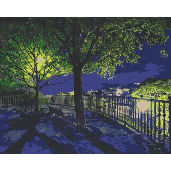 

Картина по номерам. Art Craft Ночной парк 38*50 см 10532-AC