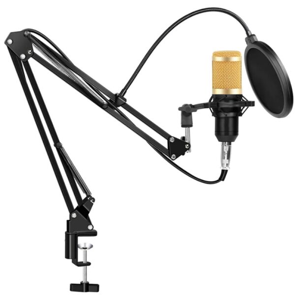 Акція на Студийный конденсаторный микрофон Soncm D.J. M-800 Black/Gold від Allo UA