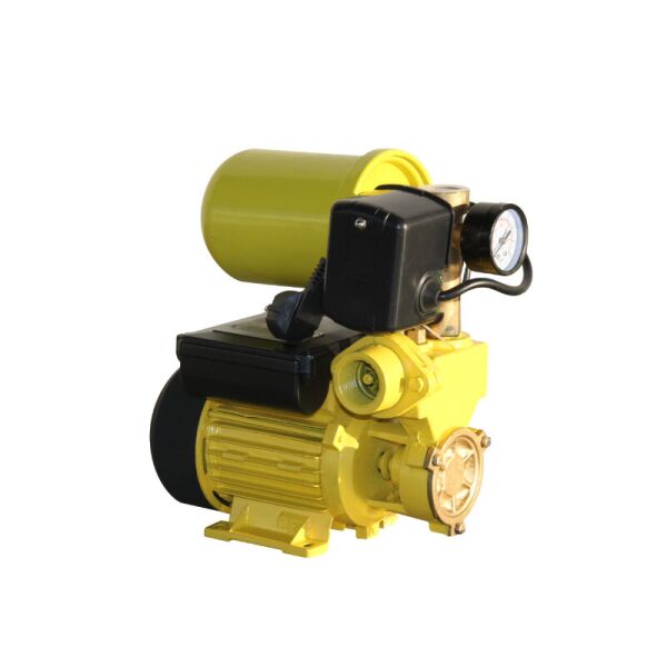 

Насосная станция Maxima WZ-250-2L (0.25кВт) c баком 2л (Эмаль)