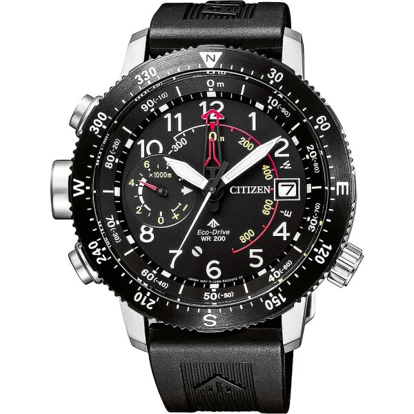 

Мужские часы Citizen BN4044-15E