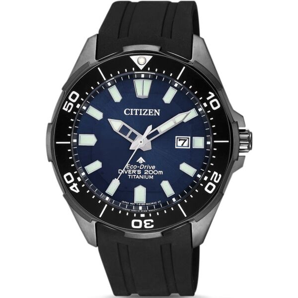 

Мужские часы Citizen BN0205-10L