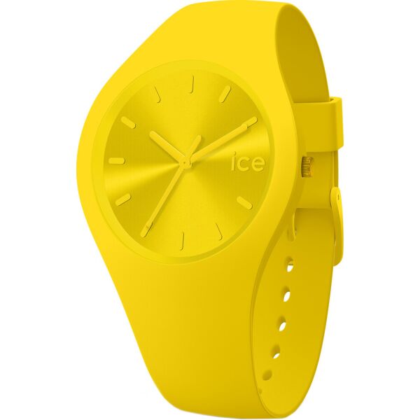 

Женские часы ICE Watch ICE.017909