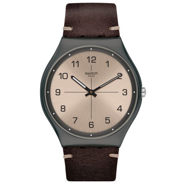 

Мужские часы Swatch SS07M100