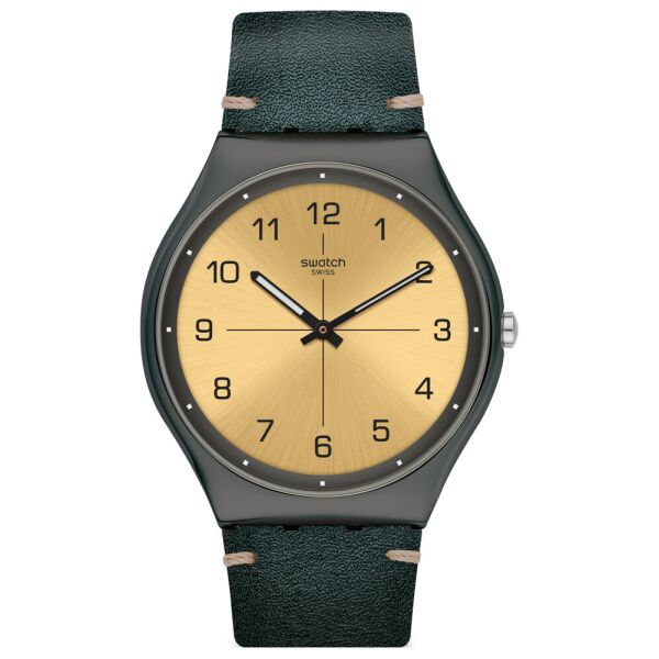 

Мужские часы Swatch SS07M101