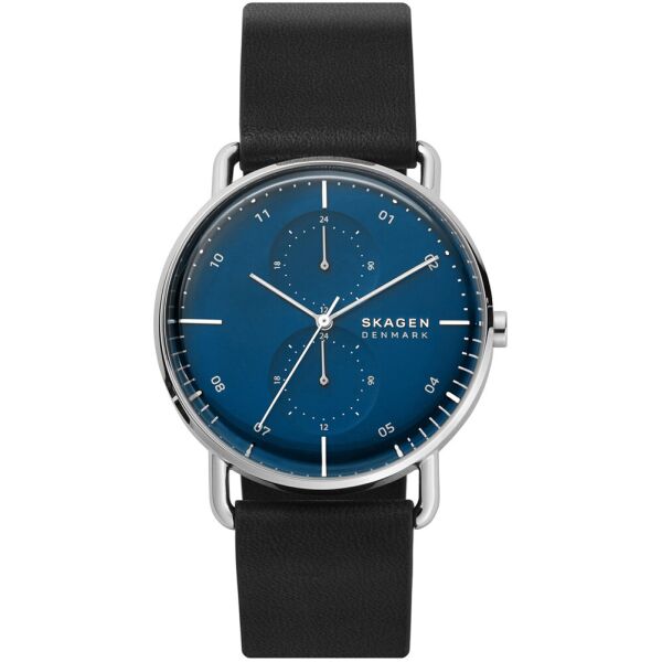 

Мужские часы Skagen SKW6702