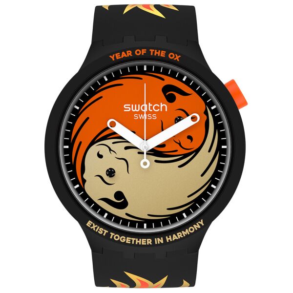 

Мужские часы Swatch SO27Z109