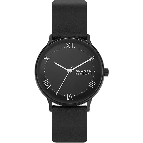 

Мужские часы Skagen SKW6623