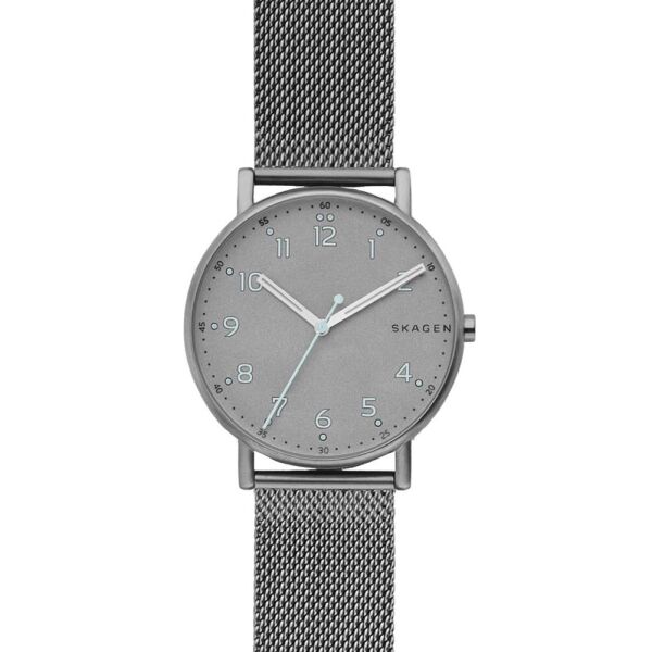 

Мужские часы Skagen SKW6354