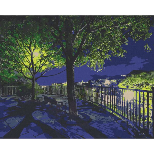 

Картина по номерам. Art Craft Ночной парк 38*50 см 10532-AC