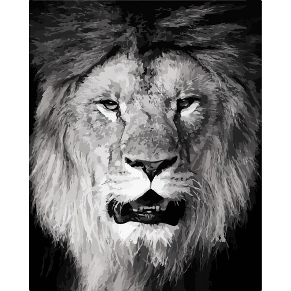 

Картина по номерам. Art Craft Big Boss 40*50 см 11611-AC