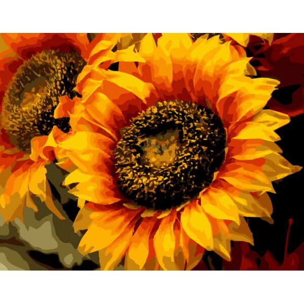 

Картина по номерам. Art Craft Шпион солнца 40*50 см 13106-AC