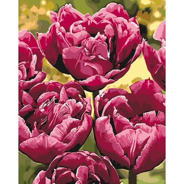 

Картина по номерам. Изысканная элегантность KHO3057