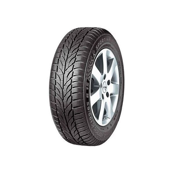 

Зимняя шина PAXARO Winter 225/55R16 95H