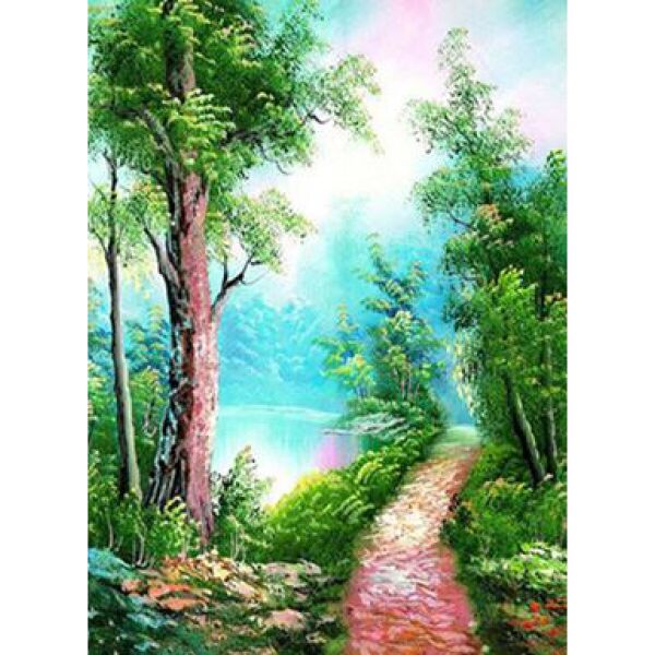 

Раск-ка по номер. 40 * 50 см "Тропинка" карт.уп (холст на раме красками. Кисти.)