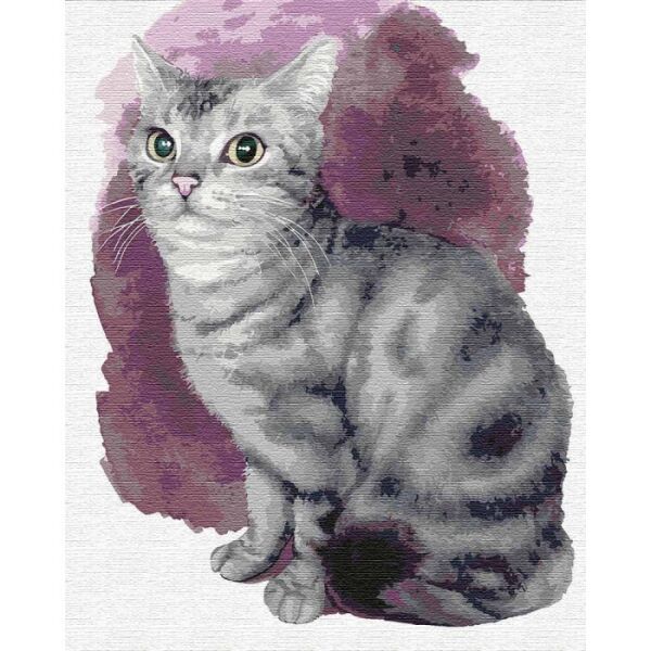 

Картина по номерам Маленьке кошеня, 40x50 см., Идейка