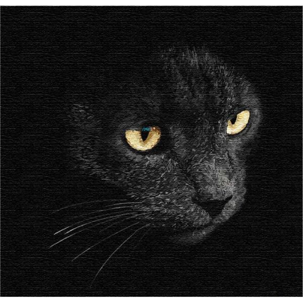 

Картина по номерам. Взгляд хищника 40*40см KHO4204