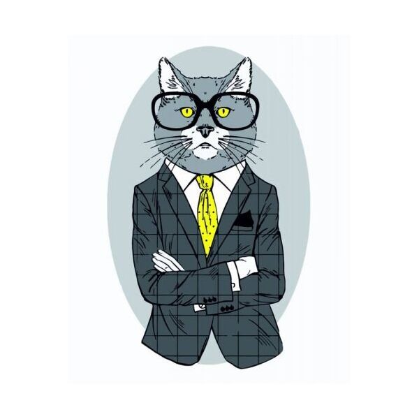 

Картина по номерам Fashion Cat ★☆☆ N00013266